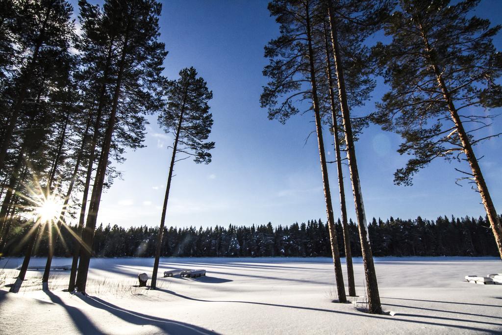 Lomaperkkiö Cottages Kajana Eksteriør bilde